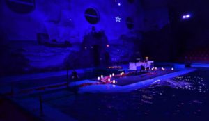 идеальное свидание в дельфинарии