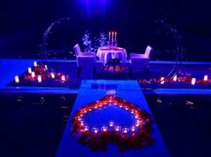 оптимальное свидание в дельфинарии