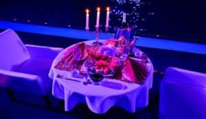 достойное свидание в дельфинарии