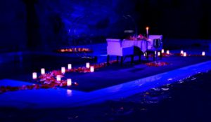 первоклассное свидание в дельфинарии