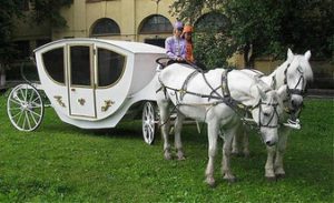 роскошная прогулка на лошадях