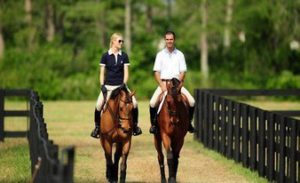 романтическая прогулка на лошадях